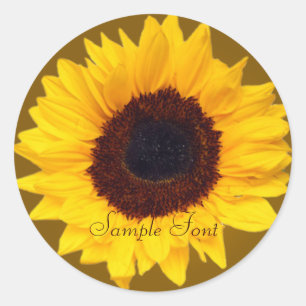 Adesivo Redondo Cor de fundo do girassol do PixDezine/DIY