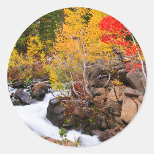 Adesivo Redondo Cor do outono ao longo do Bishop Creek, CA