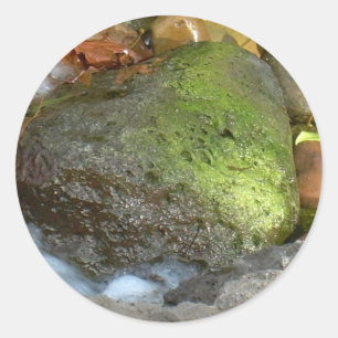 ADESIVO REDONDO CORAÇÃO AFORTUNADO DO AMOR