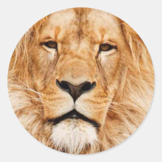 Adesivo Redondo Coração do leão