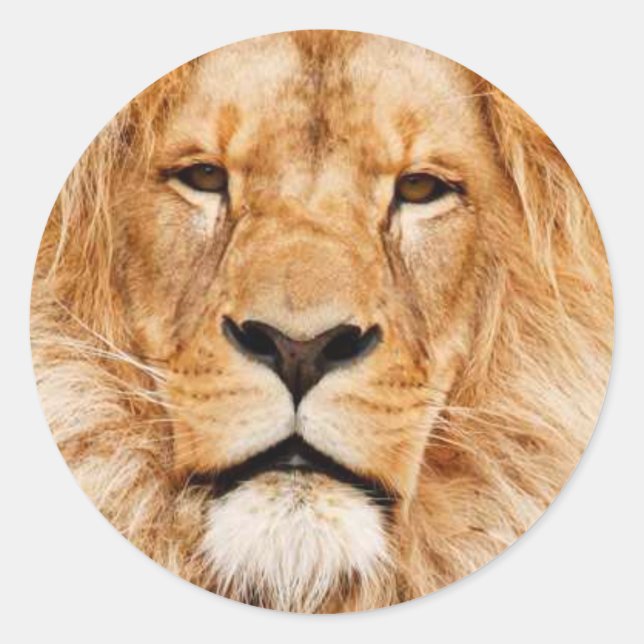 Adesivo Redondo Coração do leão (Frente)