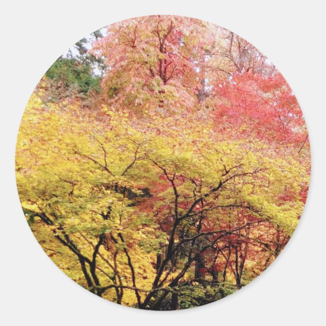 Adesivo Redondo Cores de queda em Seattle (Frente)