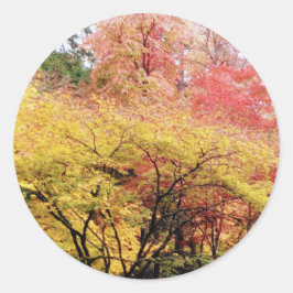 Adesivo Redondo Cores de queda em Seattle