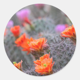 Adesivo Redondo Cores do deserto