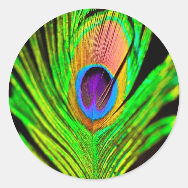 Adesivo Redondo Cores Neon Pena de Pavão (Frente)