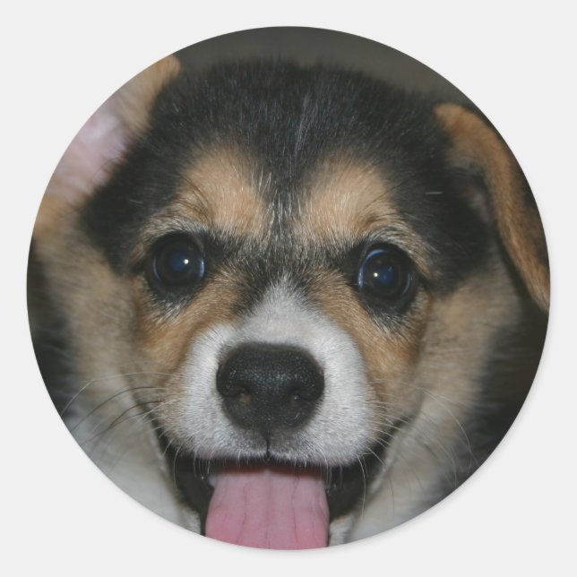 Adesivo Redondo Corgi Dog Sticker (Frente)