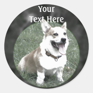 Adesivo Redondo Corgi Sticker