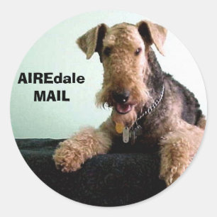 Adesivo Redondo CORREIO de Airedale