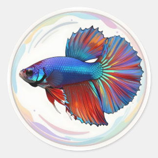 Adesivo Redondo Corrente Iridescente – Arte de Peixe Betta Clássic