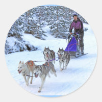 Corrida de Cachorro Sled