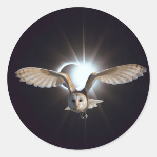 Adesivo Redondo Coruja em Outerspace