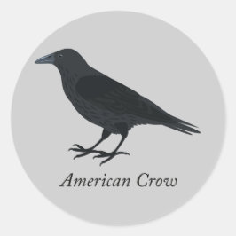 Adesivo Redondo Corvo Americano