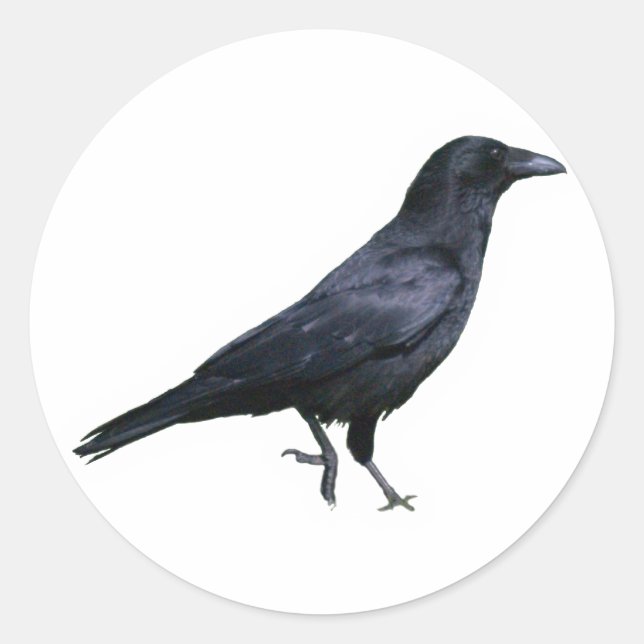 Adesivo Redondo Corvo crow (Frente)