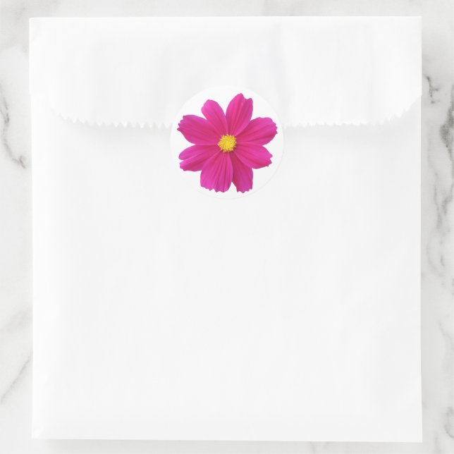 Adesivo Redondo Cosmos Sticker (Bolsa)