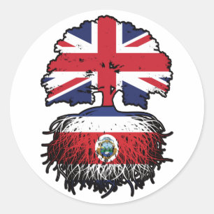 Adesivo Redondo Costa Rica Costa Rica Corriquenho Britânico Árvore