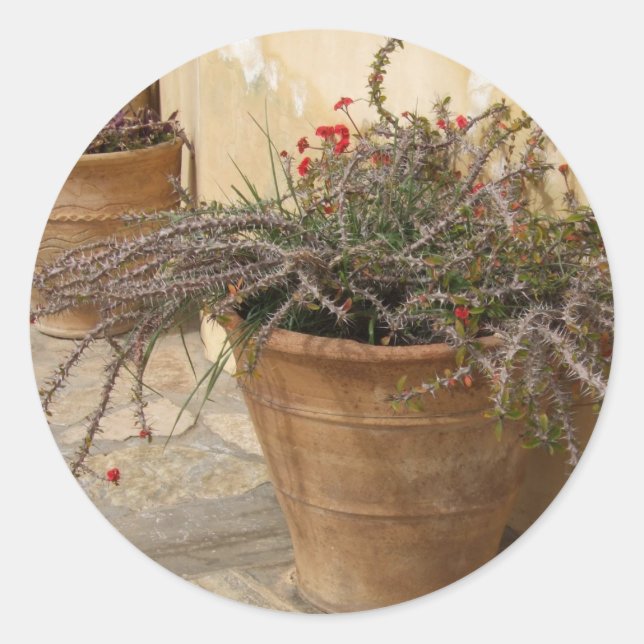 Adesivo Redondo Courtyard Stickers (Frente)