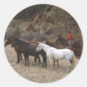 Adesivo Redondo Cowboy com Herd
