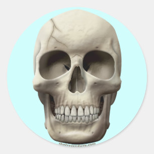 Adesivo Redondo Crack