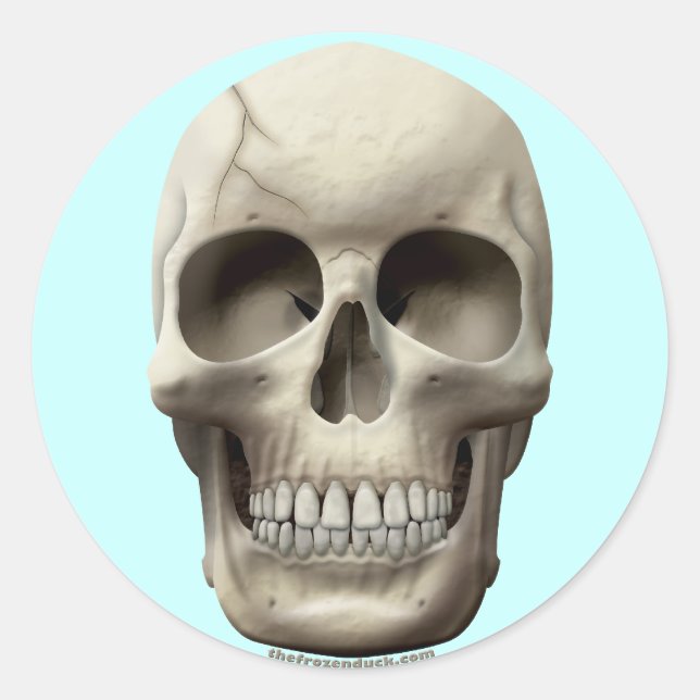 Adesivo Redondo Crack (Frente)