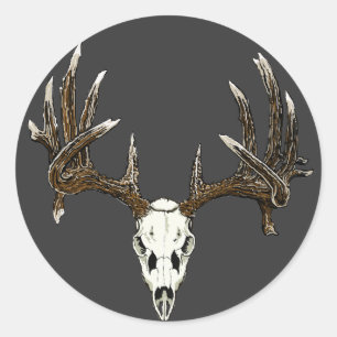 Adesivo Redondo Crânio 1 dos cervos de Whitetail