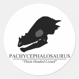 Adesivo Redondo Crânio de Pachycephalosaurus