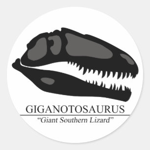 Adesivo Redondo Crânio do Giganotosaurus
