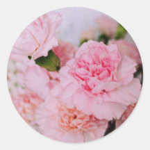 cravos rosa flores estilo vintage fotografia