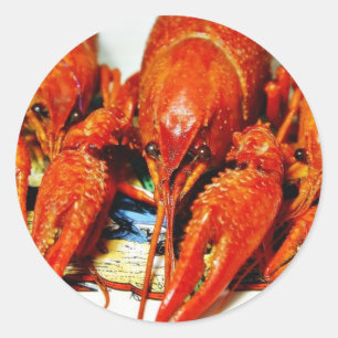 Adesivo Redondo Crawdads Craytfish dos lagostins