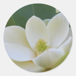 Adesivo Redondo CricketDiane Southern Magnolias