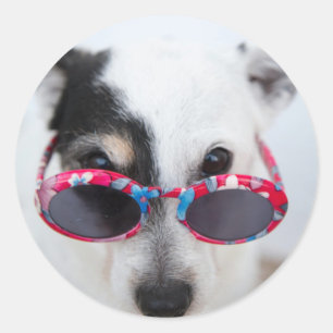 Adesivo Redondo Crie Moderno Sua Própria Foto Personalizada