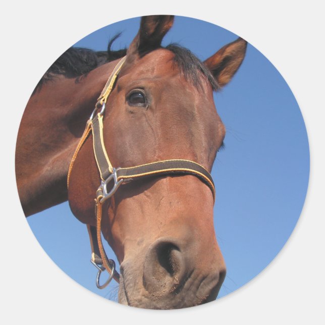 Adesivo Redondo Crie seu próprio presente personalizado de fotos (Frente)