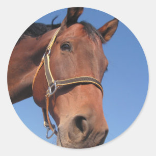 Adesivo Redondo Crie seu próprio presente personalizado de fotos