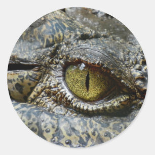 Adesivo Redondo crocodilo ocular animal personalize diy personaliz