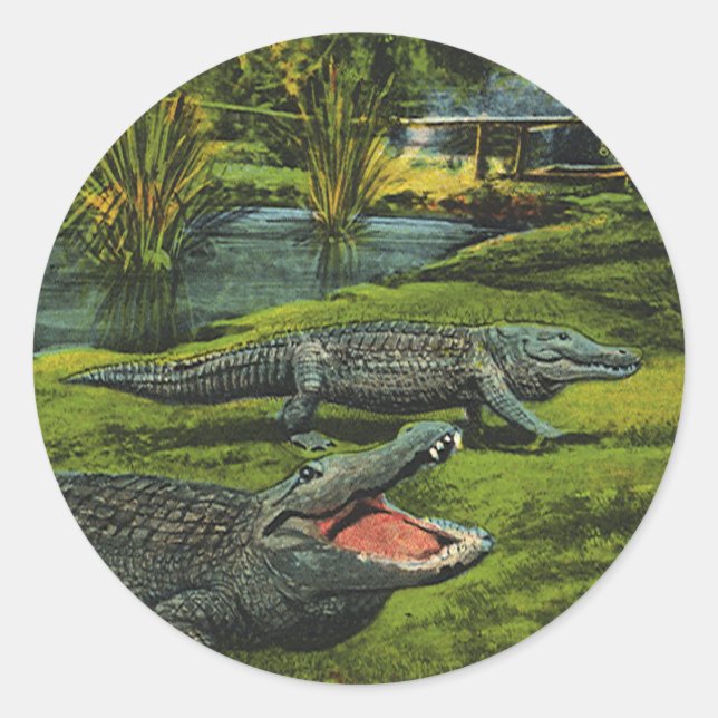 Adesivo Redondo Crocodilos Vintage, Animais da Marinha Répteis (Frente)