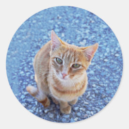 Adesivo Redondo Cuddle me