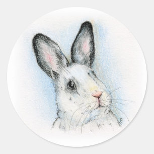 Adesivo Redondo Curioso