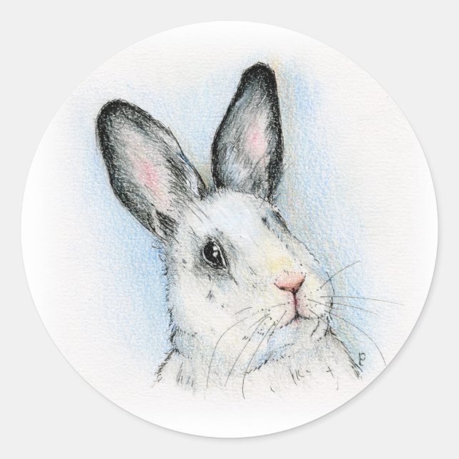 Adesivo Redondo Curioso (Frente)