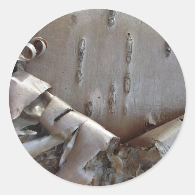 Adesivo Redondo Curly Birch Bark Tree Rustic (Frente)