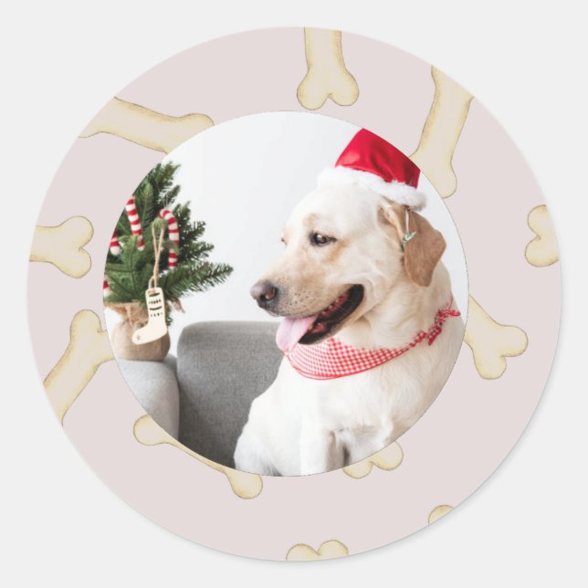 Adesivo Redondo Custom Dog Photo with Bone Frame Stickers (Frente)