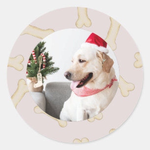 Adesivo Redondo Custom Dog Photo with Bone Frame Stickers