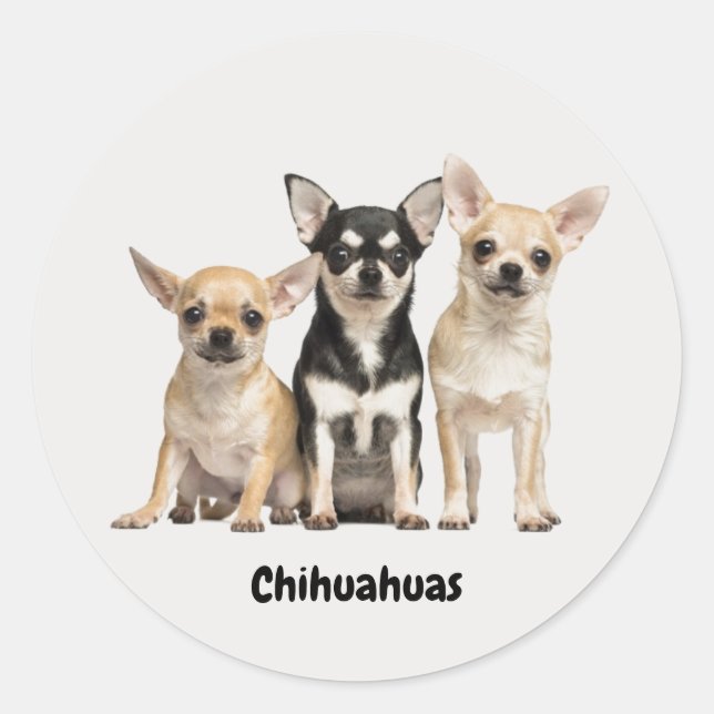 Adesivo Redondo Cute Chihuahua Pupplies (Frente)