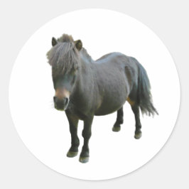 Adesivo Redondo Cute Dartmoor Pony