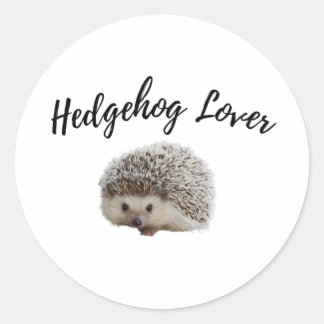 Adesivo Redondo Cute Hedgehog