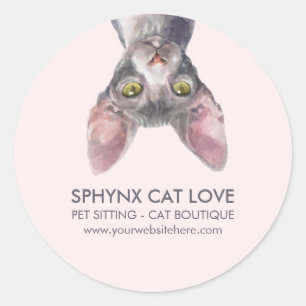 Adesivo Redondo Cute Pequeno Rosa Canadense Sphynx Gato Carro