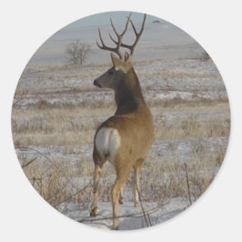 Adesivo Redondo D20 Mule Deer Buck na neve