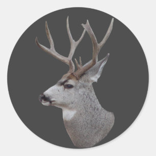 Adesivo Redondo D27 Mule Deer Buck Head