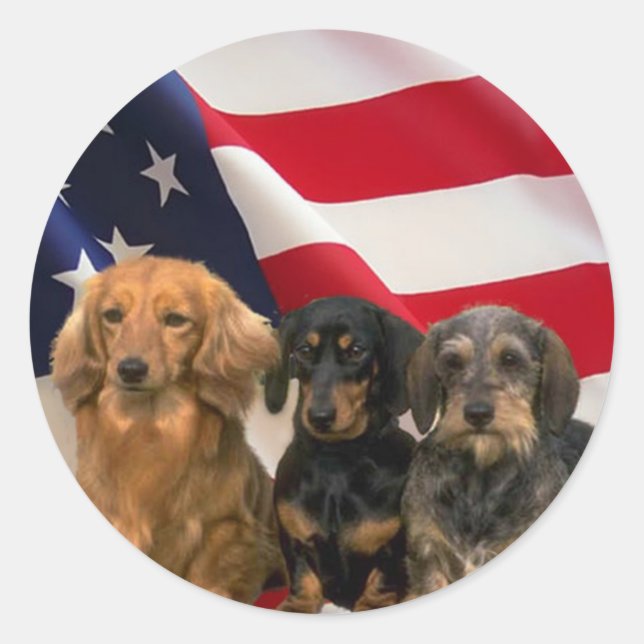 Adesivo Redondo Dachshund America Sticker (Frente)