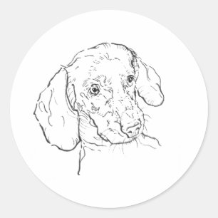 Adesivo Redondo Dachshund, Cachorro Salsicha, Cachorro Wiener