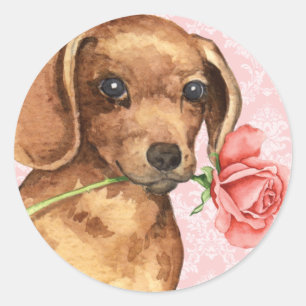 Adesivo Redondo Dachshund cor-de-rosa dos namorados