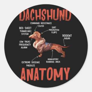 Adesivo Redondo Dachshund Cute para a Anatomia do Wiener Doxie Lov